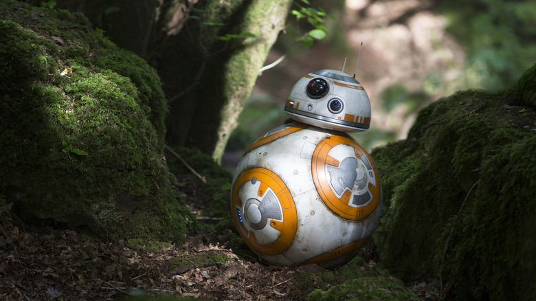 BB-8 sitting on mossy ground in Star Wars: Episode VII - The Force Awakens
