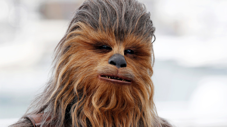 Chewbacca from the "Star Wars"movie saga