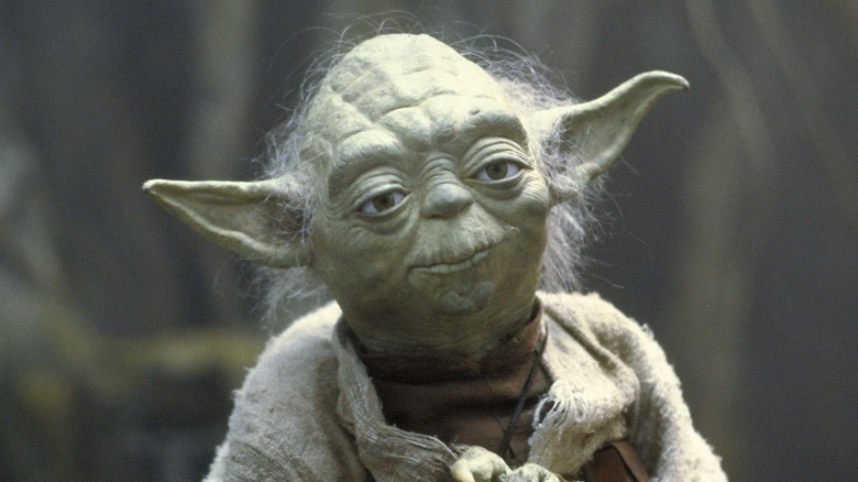 Yoda tilts his head