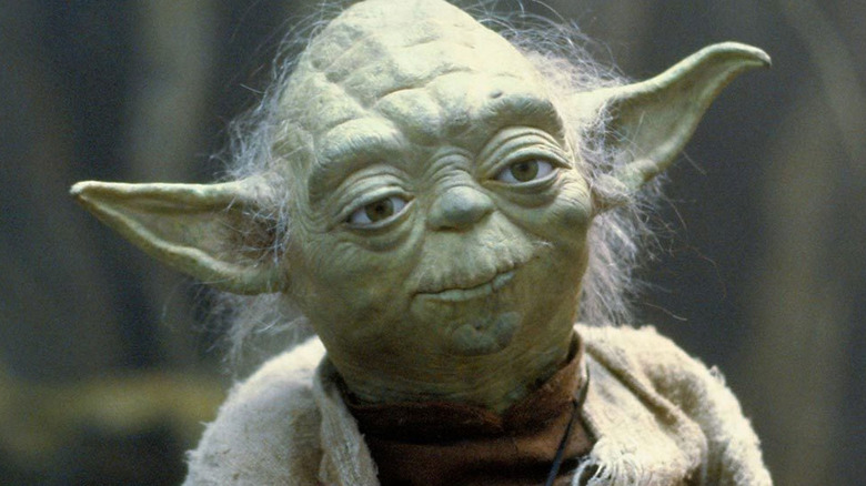 Yoda looking forward
