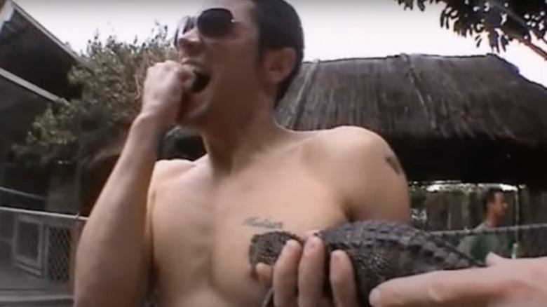 Johnny Knoxville being bitten by alligator