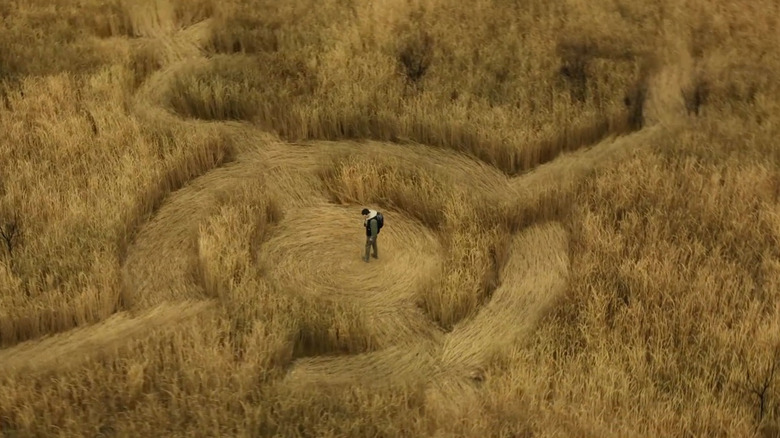Daniel in the middle of a crop circle in Disclosure Day