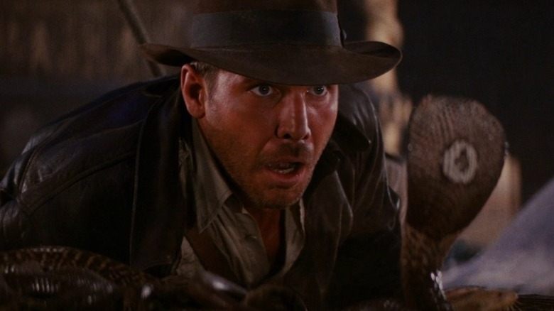 Indy looking scared by a snake