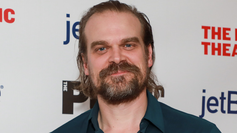 David Harbour poses at event