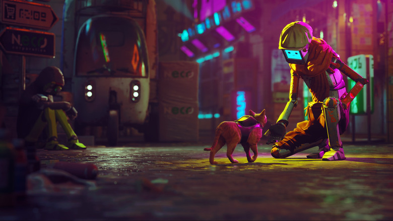 Stray cat with android