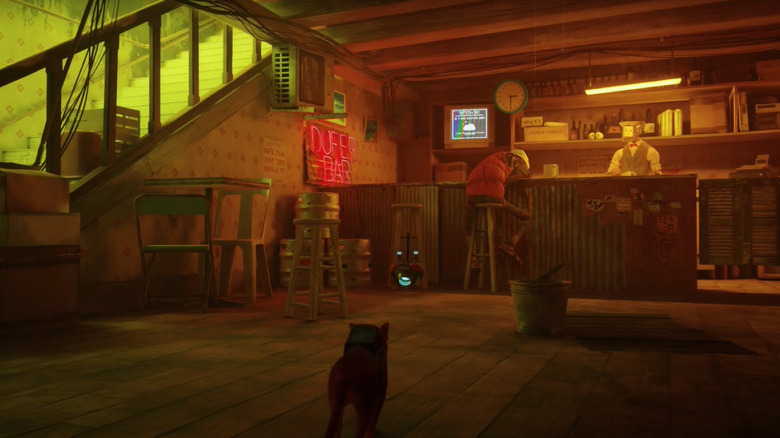 "Stray" cat in Dufer Bar 