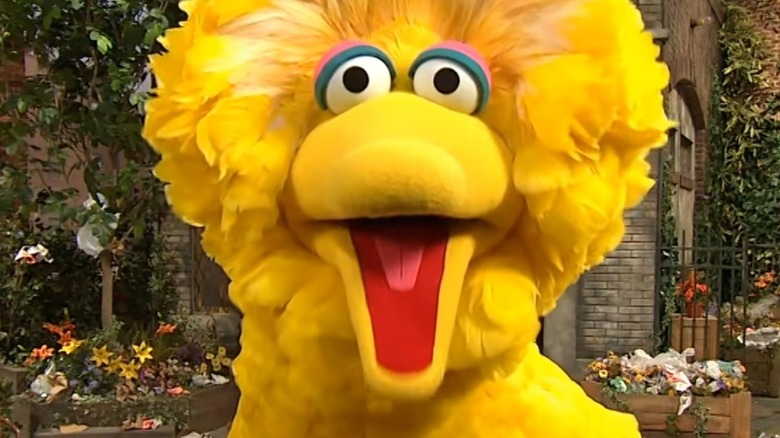 Big Bird