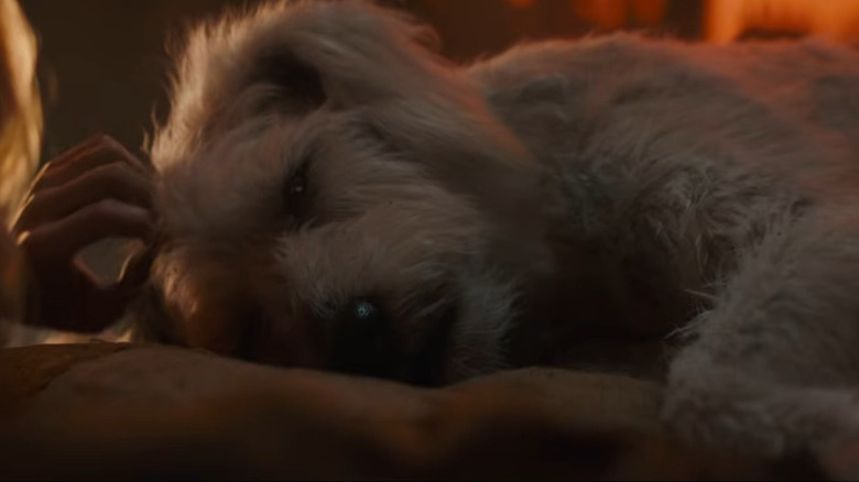 Kara petting Krypto in Supergirl