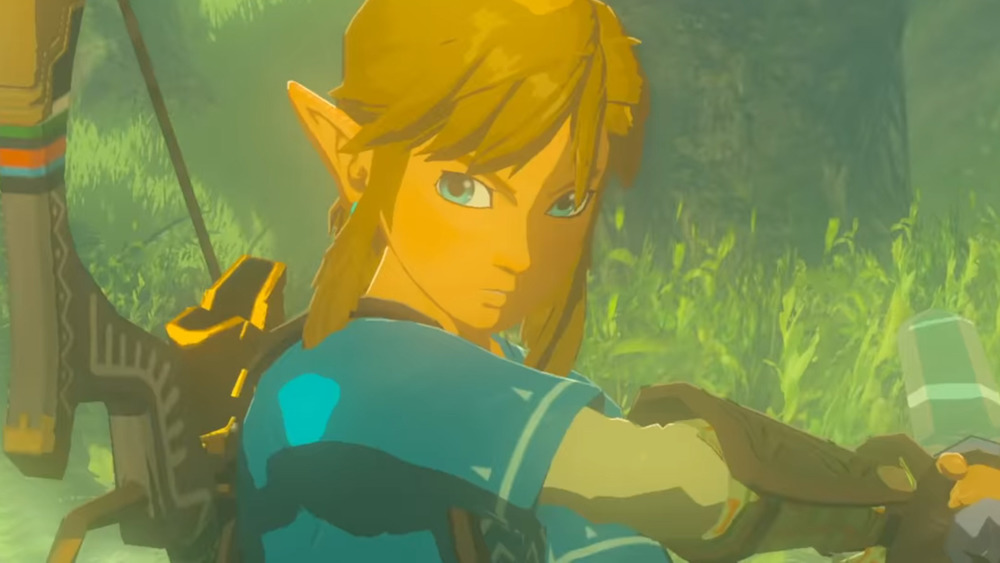 BOTW Link Master Sword