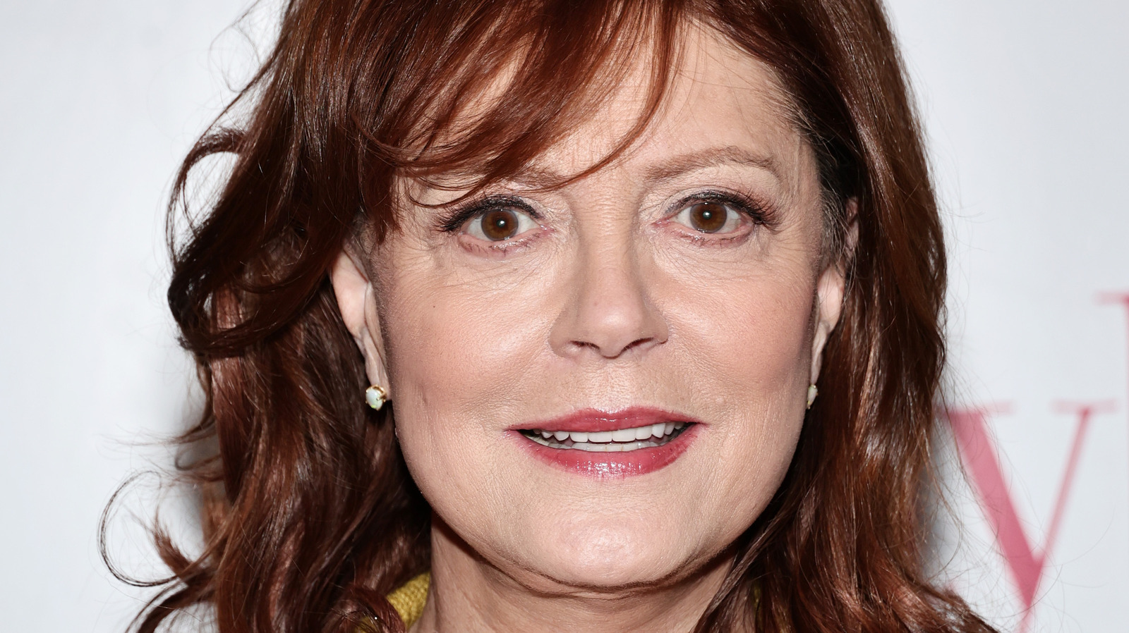 Susan Sarandon's 'Blue Beetle' villain previewed by actress