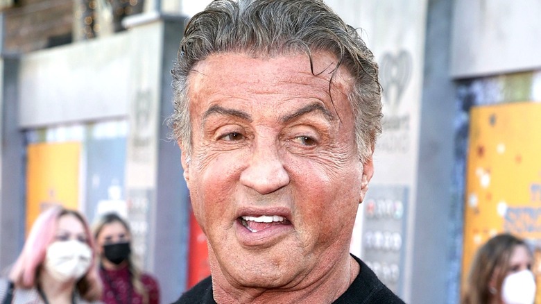 Sylvester Stallone grey hair