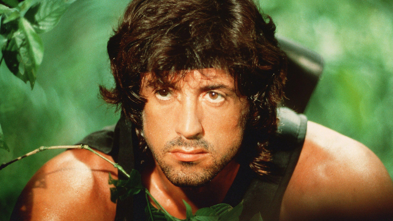 Sylvester Stallone's Rambo Movies Ranked