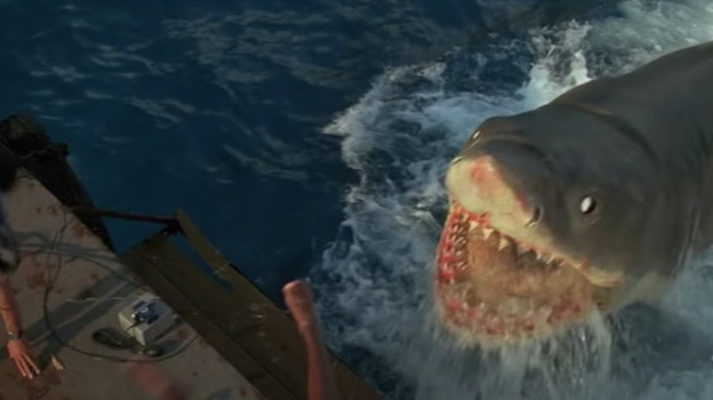 Bruce IV attacks a boat