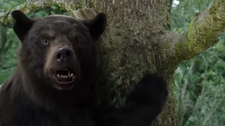 Cocaine Bear spying something delicious