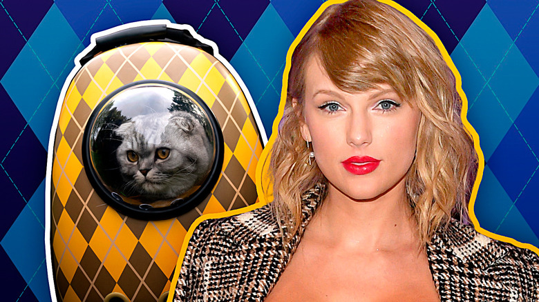Cat in backpack Taylor Swift