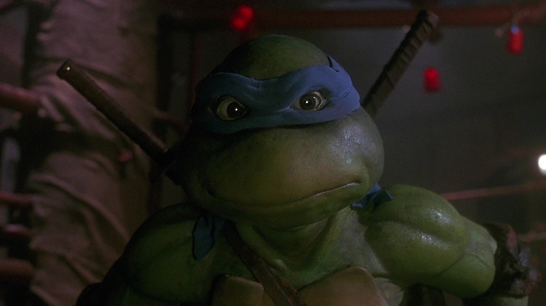 Turtle staring
