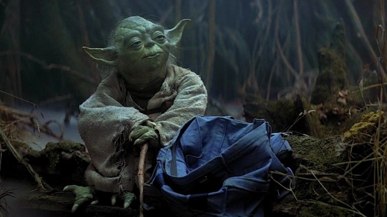 Yoda sits in the swamp in "The Empire Strikes Back" (1980)