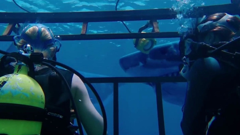 Two sharks swimming past a cage in "47 Meters Down"