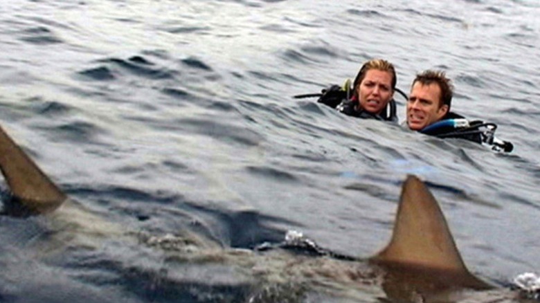 Susan and Daniel being surrounded by sharks in "Open Water"