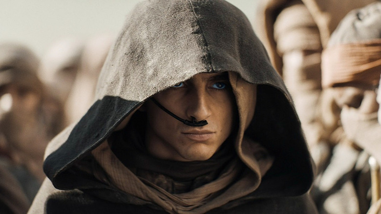 Paul looking ahead, wearing a hood (2024)