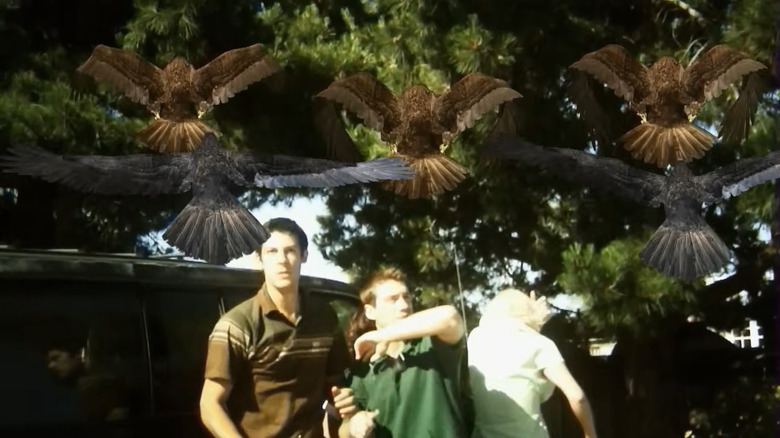 Bad CGI birds attack humans in "Birdemic: Shock and Terror" (2010)