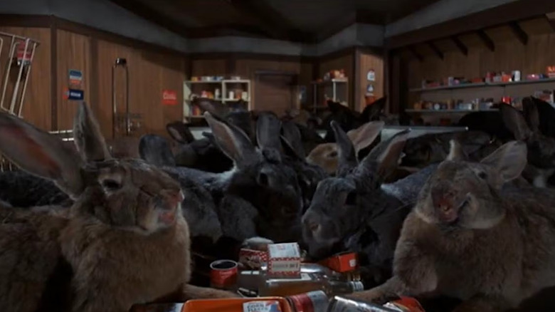Giant rabbits take over a general store in "Night of the Lepus" (1972)