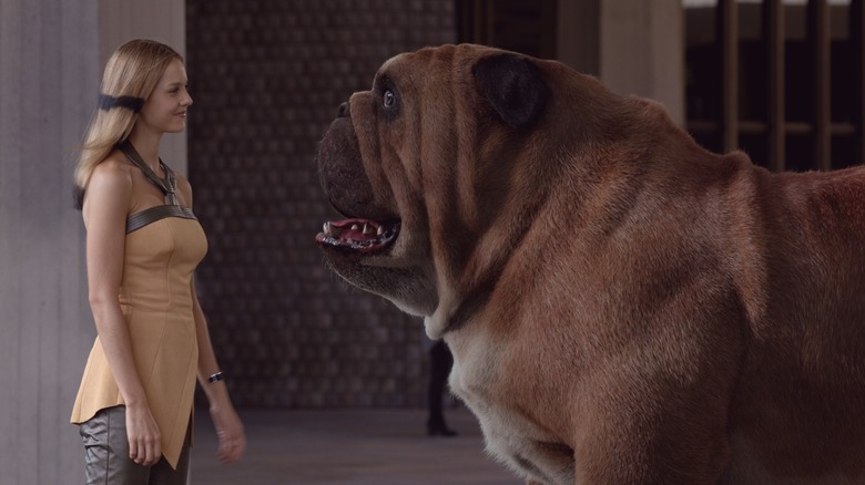 Crystal smiling at Lockjaw in "Inhumans"