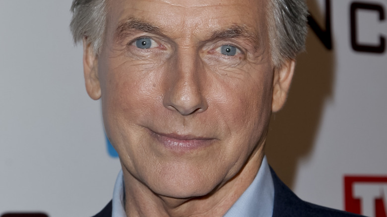 Mark Harmon smiles 