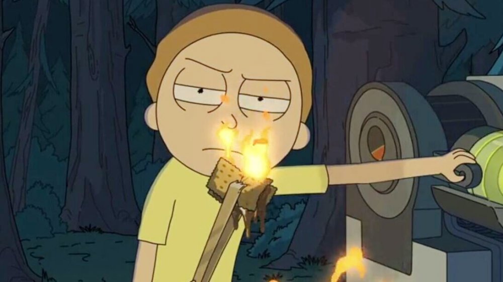 Morty Smith in The Whirly Dirly Conspiracy