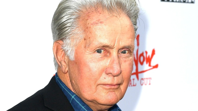 A close up of Martin Sheen