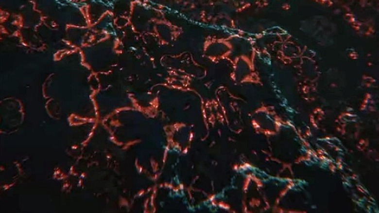 neuron map The Autopsy 