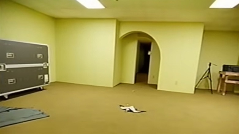 A seagull on the ground in the cold open of Backrooms (2026)