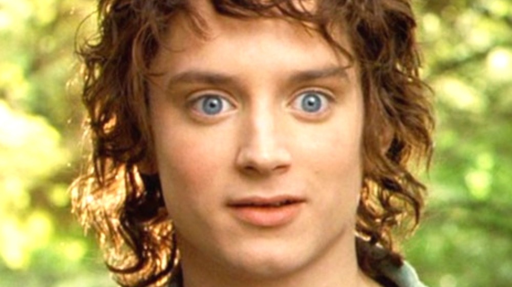 Frodo looking amazed