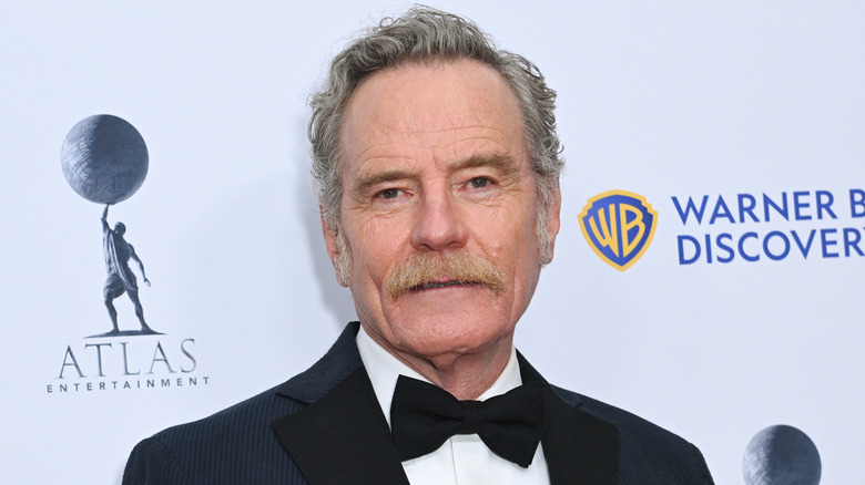Bryan Cranston posing on the red carpet in 2024