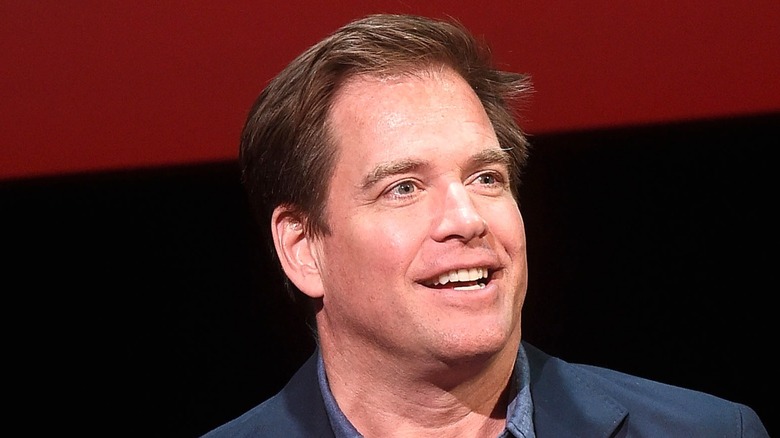 Michael Weatherly smiles and looks outward