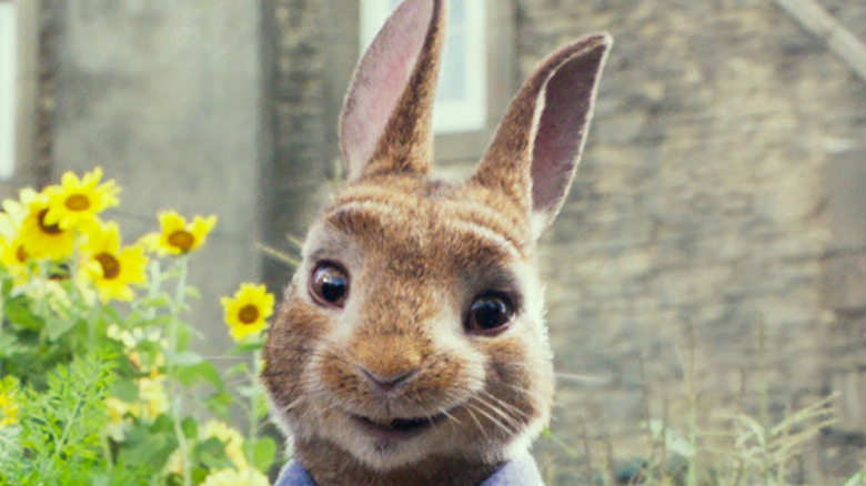 Peter Rabbit