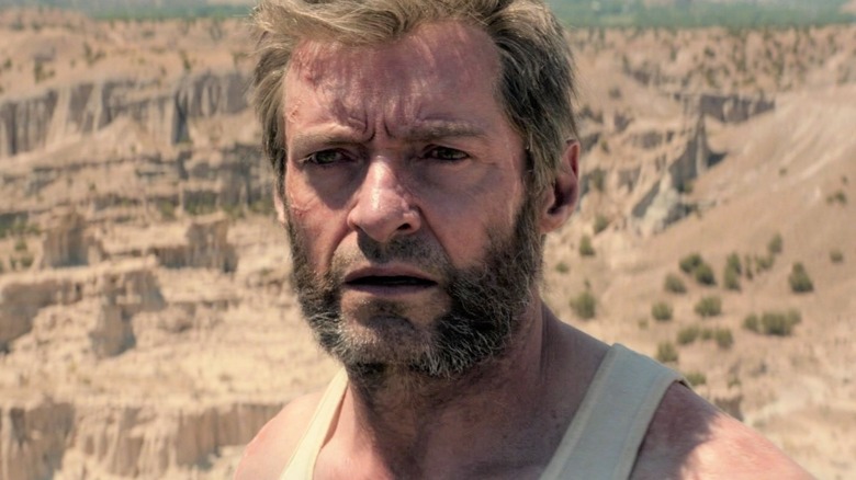 Wolverine in desert