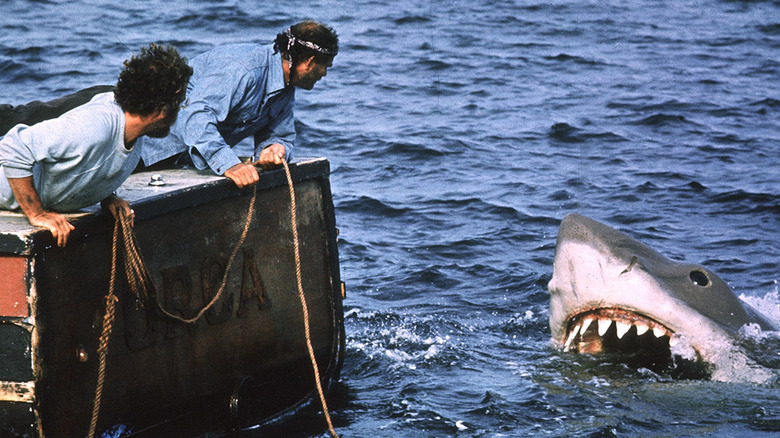 Shark attacks the Orca