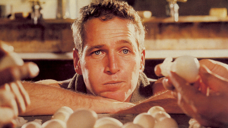 Cool Hand Luke Paul Newman
