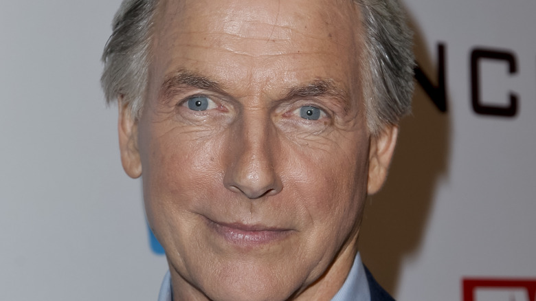 Mark Harmon looking wise