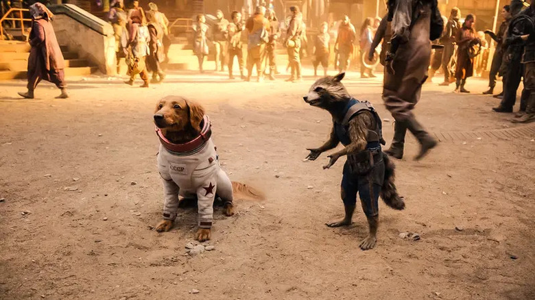 Cosmo works with Rocket
