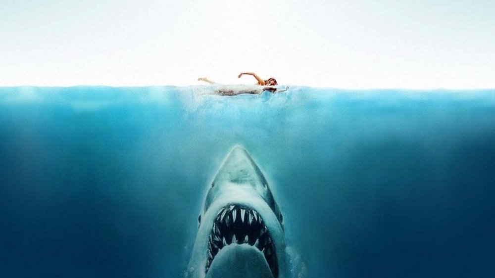 Jaws