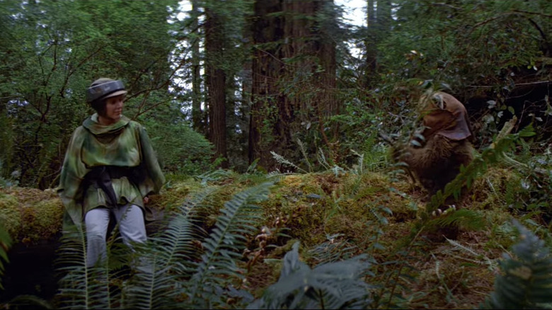 Leia and Ewok on Endor