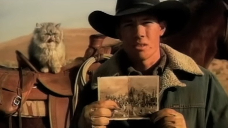 cat cowboy commercial