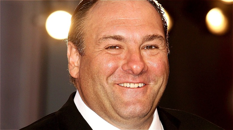 James Gandolfini smiles