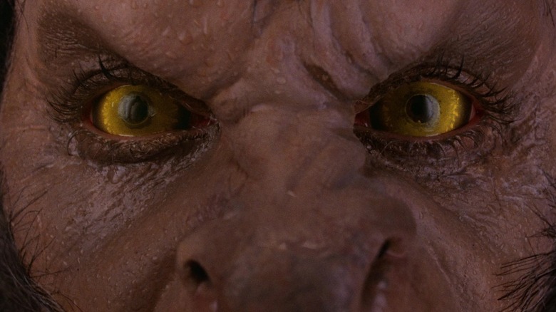 Werewolf transformation