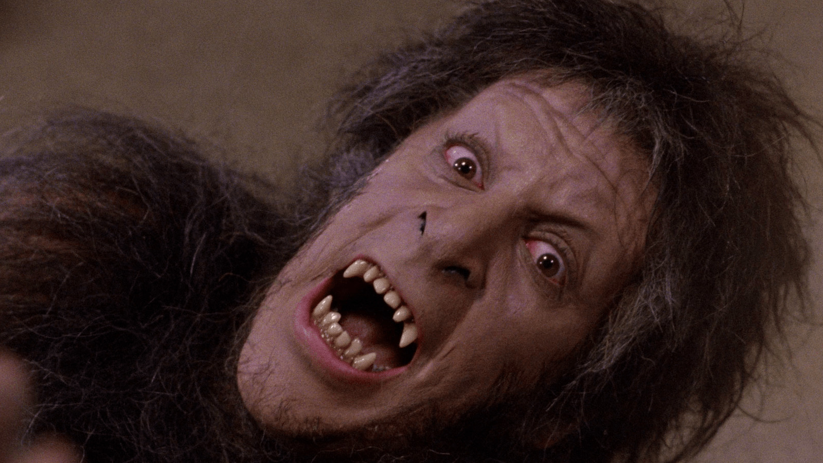 Howling II  Your Sister Is a Werewolf - Rotten Tomatoes