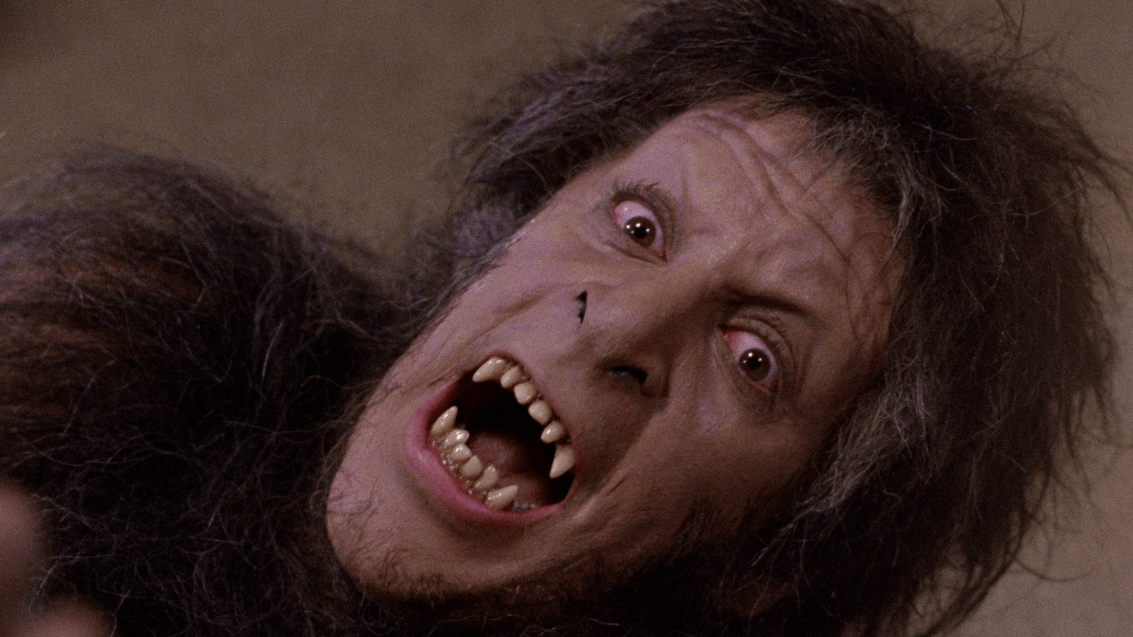 Streaming: the best werewolf films, Horror films