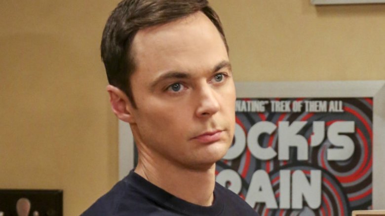 Jim Parsons Dr. Sheldon Cooper The Big Bang Theory