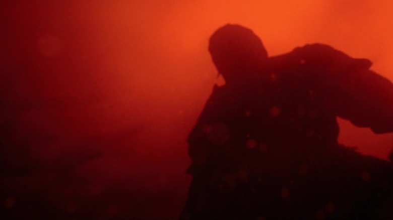 Vander's silhouette as seen from underwater